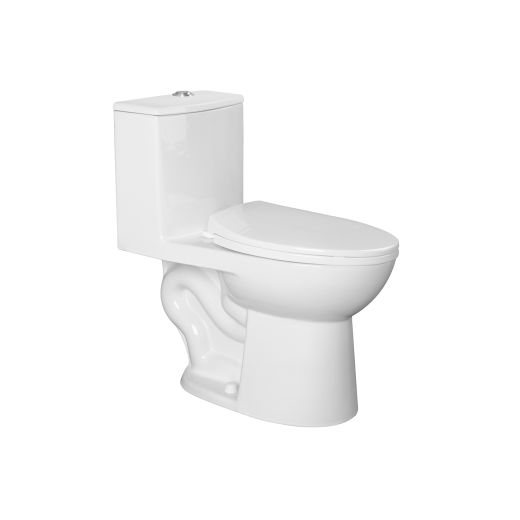 Phoenix 1 Piece Elongated Toilet