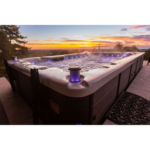 St. Lawrence 13ft 12-Person 39-Jet Swim Spa