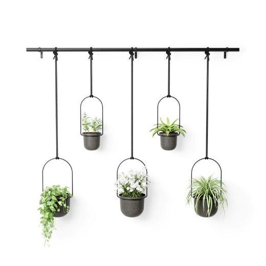 Triflora 5 Black Hanging Planter