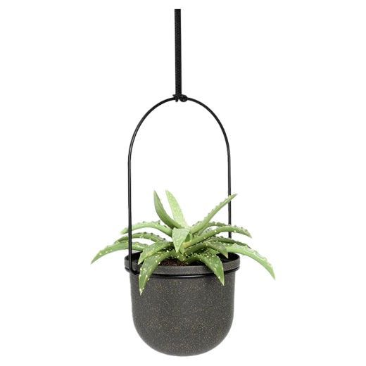 Triflora 5 Black Hanging Planter