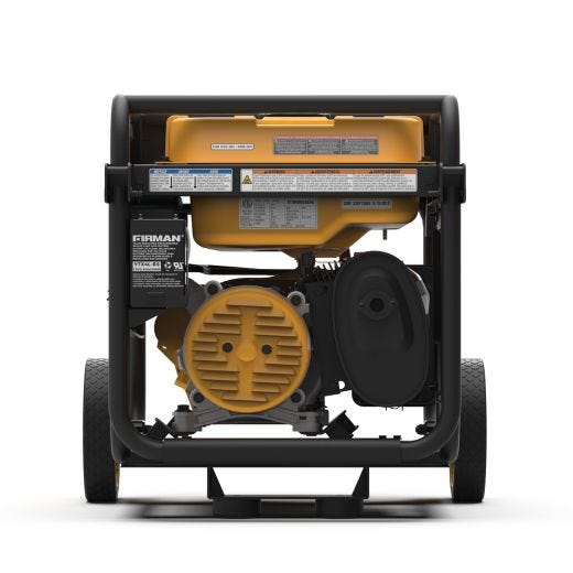 Dual Fuel Portable Generator 3650W Recoil Start