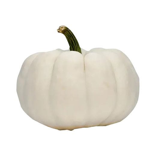 White Pumpkin