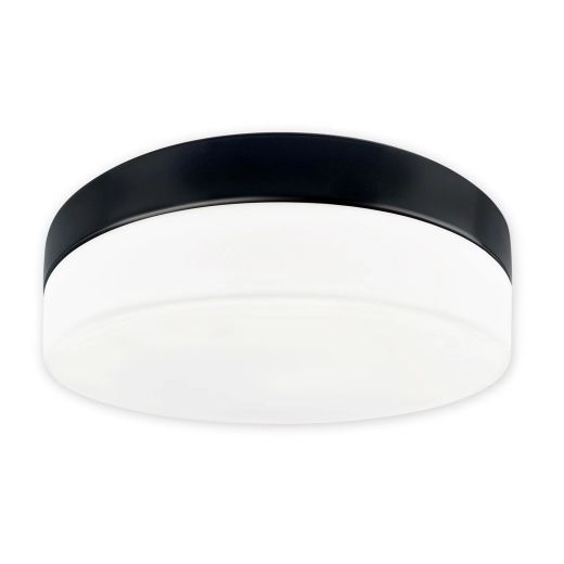 Bryson 11" Flush Mount