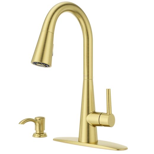 Barulli 1 Handle Pull Down Kitchen Faucet- Brushed Gold