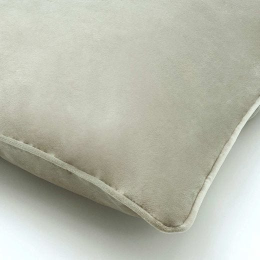 Seren Velvet Decorative Pillow 20 x 20