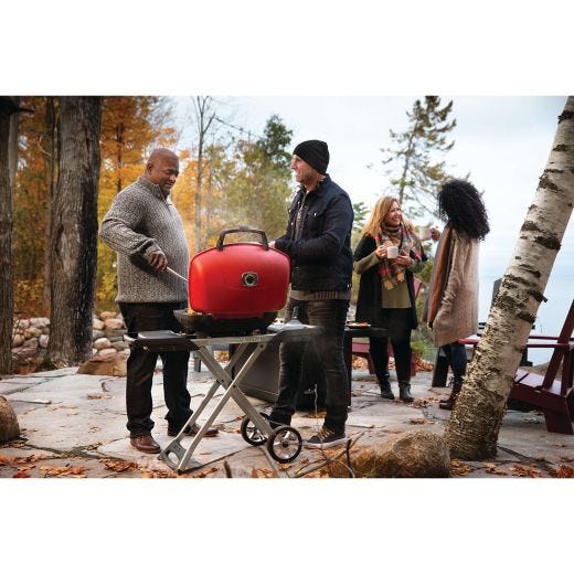 Napoleon TravelQ 285X Portable Propane Gas Grill