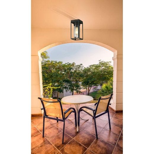 Walker Hill Outdoor Ceiling Light 1L- Black