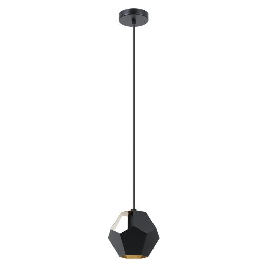 Rasigures Pendant Light 1L, Black and Gold Finish