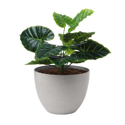 12" Momoka Planter