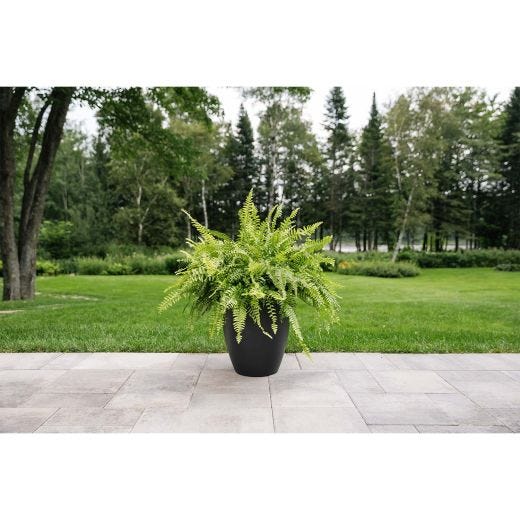Urban Pot 16"