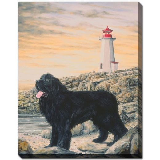 Storm NL Dog 30x45