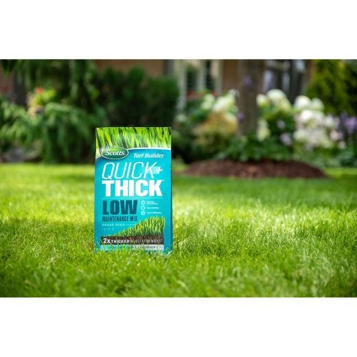 Graine de Gazon Scotts Quick + Thick