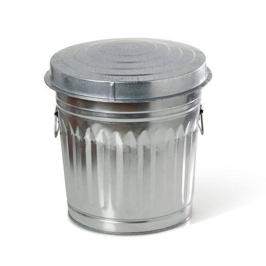 37L Galvanized Steel Trash Can With Lid