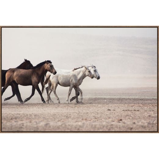 Beaux Chevaux 24x36