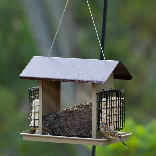 Mangeoire MoB avec porte-suet 2x2.32kg