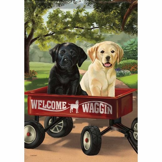 Drapeau d’été bienvenue Waggin