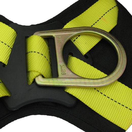 Padded Full Body Harness
