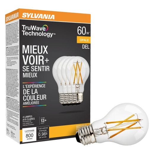Ampoule LED A19 Blanc Doux 800 Lumens - 4/Paquet