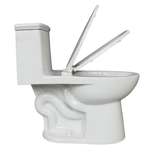 Tidal 3.5-4.8LPF Elongated Front Dual Flush 1 Piece Toilet