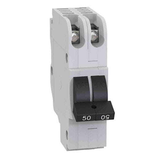 Disjoncteur bipolaire 50A Stab-Lok (NC)