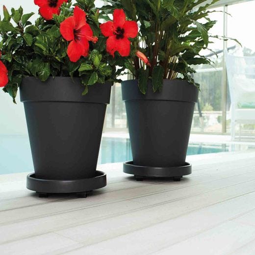 Soucoupe à Roulettes Anthracite 12"