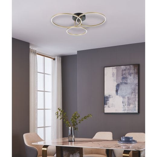 Boyal Ceiling Light