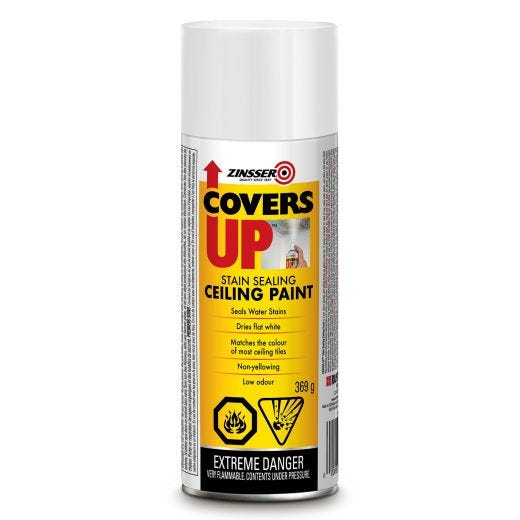 Zinsser Covers Up Stain Ceiling Paint 369g