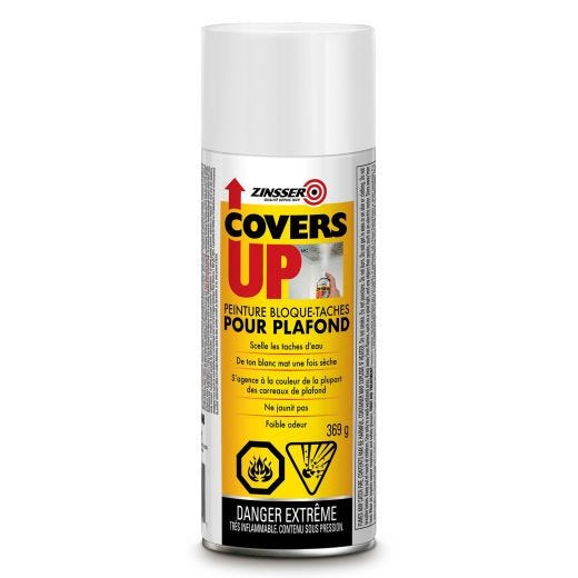 Zinsser Covers Up Stain Ceiling Paint 369g