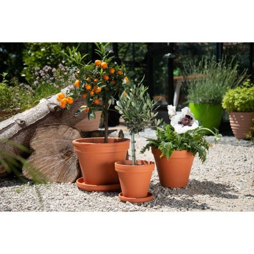 Pot en Terre Cuite 4,25"