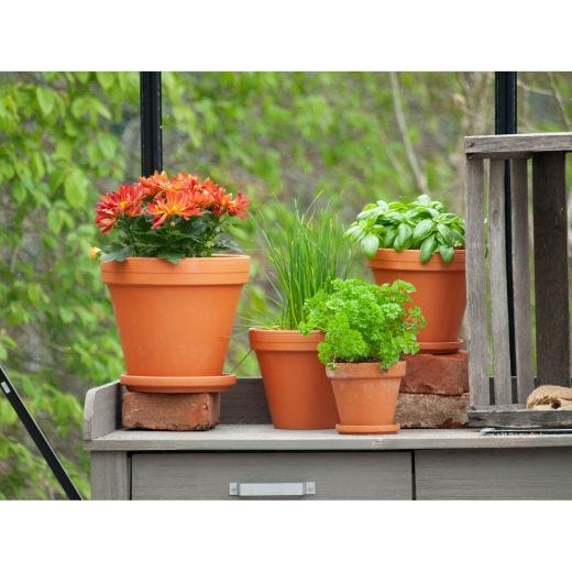 Pot en Terre Cuite 4,25"