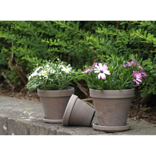 Pot Basalt Terre Cuite 10,2"
