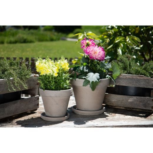 Pot Basalt Terre Cuite 6,2"