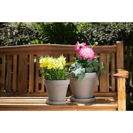 Soucoupe Basalt 5,1"