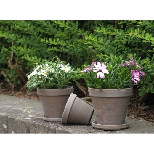 Pot Basalt Terre Cuite 4,5"