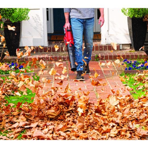 40V 530CFM Brushless Leaf Blower Kit