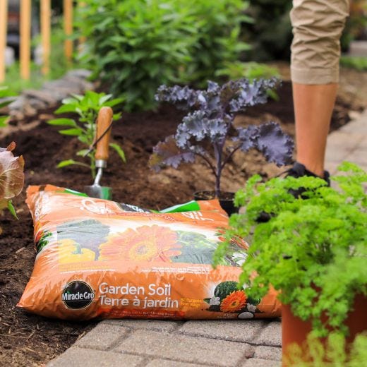 Miracle-Gro Garden Soil All Purpose 50 L