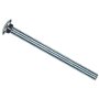 5/16" x 6" Zinc Plated Carriage Bolt