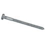1/2" x 10" HDG Hex Lag Screw