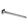 #10 x 5/8" Chrome Oval Head Wood Screw-2/Pack