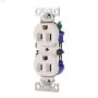 15 A Duplex Receptacle