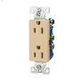15 A Decorator Duplex Receptacle