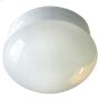 1 Light A 60 Watt White Flushmount Light
