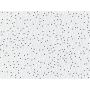 Pebbled ClimaPlus 4800 Acoustical Panel 2' x 4' x 5/8"-8/BX