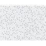 Pebbled ClimaPlus 4801 Acoustical Panel 2'x 2' x 5/8"-16/BX