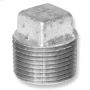 1/4" Galvanized Malleable Iron Plug