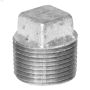 1" Galvanized Malleable Iron Plug
