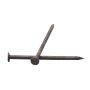2-1\/2\" HDG Common Nail-1.5kg 500\/Box