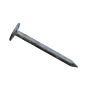 2" Hot Dipped Galvanized Roofing Nail-1.5 kg