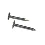1" Electro Galvanized Roofing Nail-1.5 kg