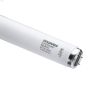 Rare Earth Phosp 34 Watt Bi-Pin T12 Fluorescent Bulb-2/Pack